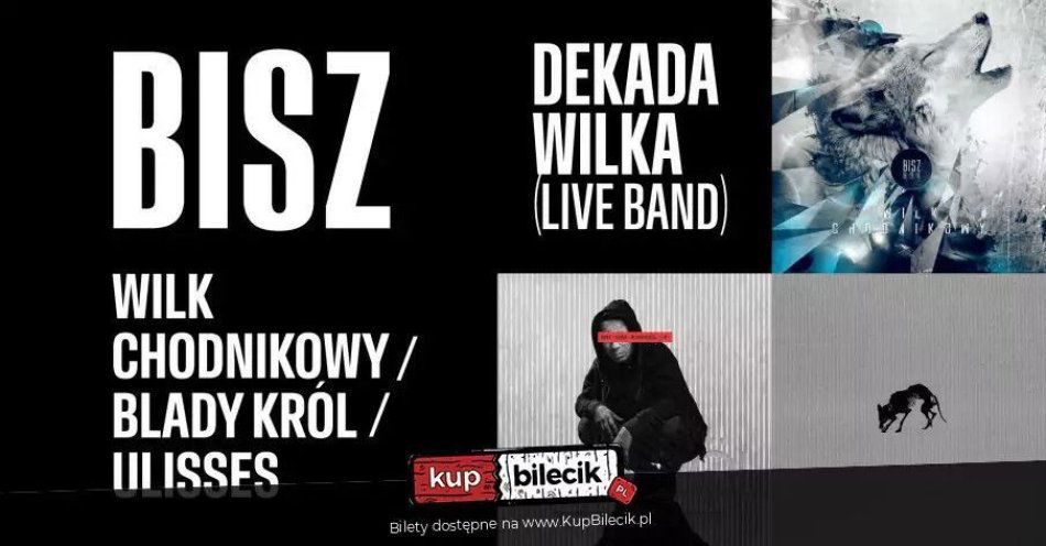 zdjęcie: Bisz / Kosa / kupbilecik24.pl / Bisz / Kosa