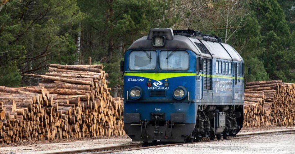 zdjęcie: PKP Cargo planuje zwolnienia grupowe; do września 2026 r. pracę może stracić do 2429 osób / fot. PAP