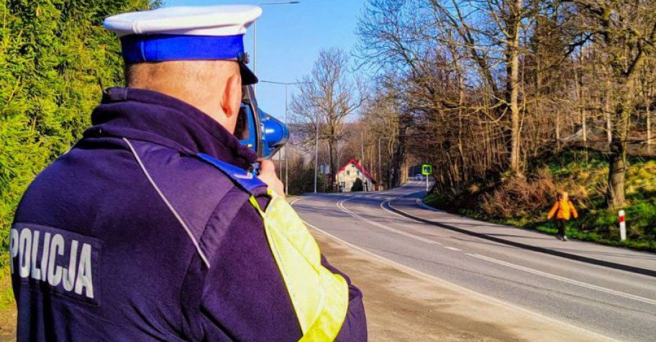 zdjęcie: „Pieszy kontra pojazd” / fot. KPP w Kamiennej Górze