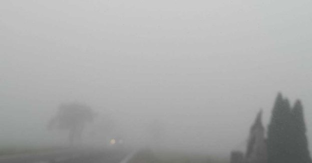 Mgła na drodze: zasady bezpieczeństwa dla wszystkich