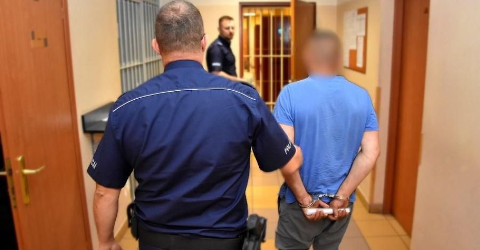 zdjęcie: Zatrzymany 41-latek odpowie za jazdę pod prąd i pod wpływem alkoholu oraz serię kradzieży. / fot. KPP w Starogardzie Gdańskim