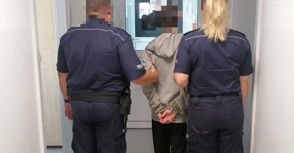 zdjęcie: Dzielnicowi ujawnili plantację konopi / fot. KPP w Ostródzie