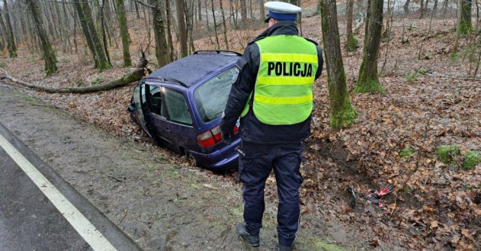 zdjęcie: Policjanci wyjaśniają okoliczności śmiertelnego wypadku pomiędzy Czarną Dąbrówką a Kozinem / fot. KPP w Bytowie