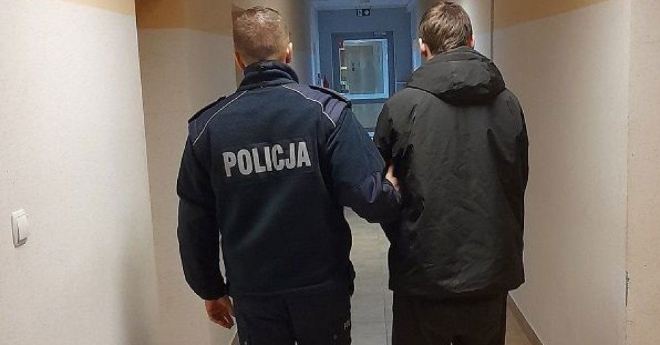 zdjęcie: Włamał się i okradł altanki działkowe – usłyszał zarzuty od policjantów / fot. KPP w Pruszczu Gdańskim