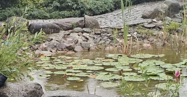 Nie żyje 36-letni mieszkaniec powiatu wieluńskiego. Został znaleziony w oczku wodnym