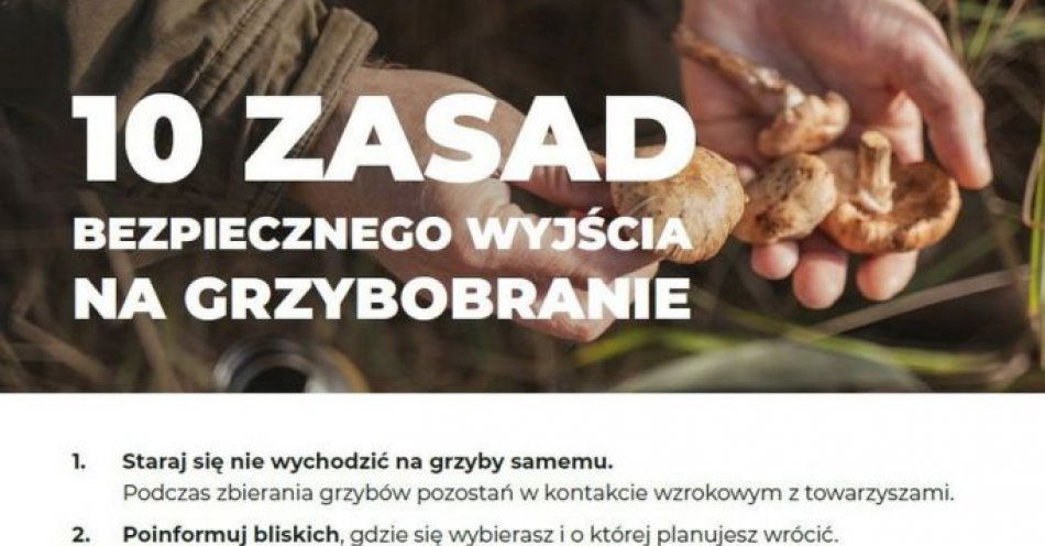 zdjęcie: Zbierasz grzyby w lesie? Zadbaj o swoje bezpieczeństwo / fot. KMP w Słupsku