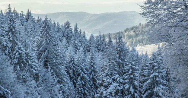 Sypnęło śniegiem w górach; trudne warunki na szlakach