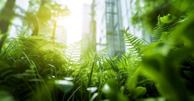 24 godziny na przygotowanie najlepszych rozwiązań dla klimatu