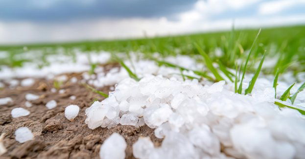 Skala strat po gradobiciach wymaga wsparcia spoza budżetu resortu