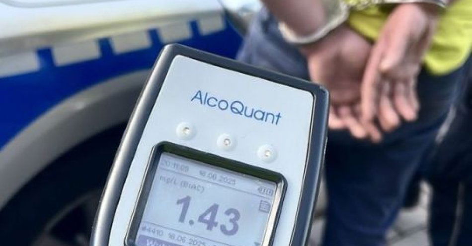 zdjęcie: Kierujący, który prowadził w Karwieńskich Błotach mając prawie 3 promila, zatrzymany przez puckich policjantów / fot. KPP w Pucku