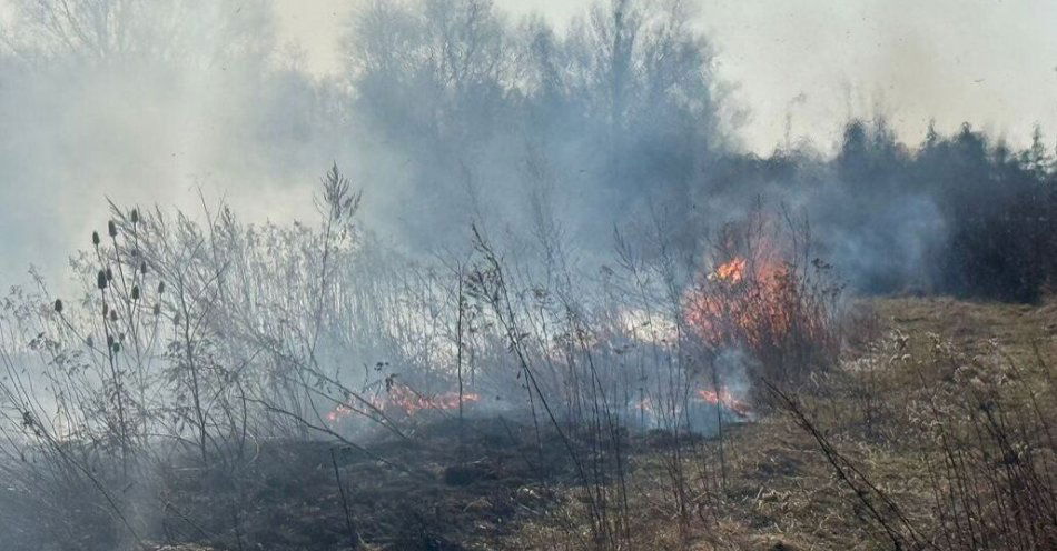 zdjęcie: Podpalił trawy na granicy powiatów. Dostał 1000 zł mandatu / fot. KPP w Stalowej Woli fot. KPP Nisko