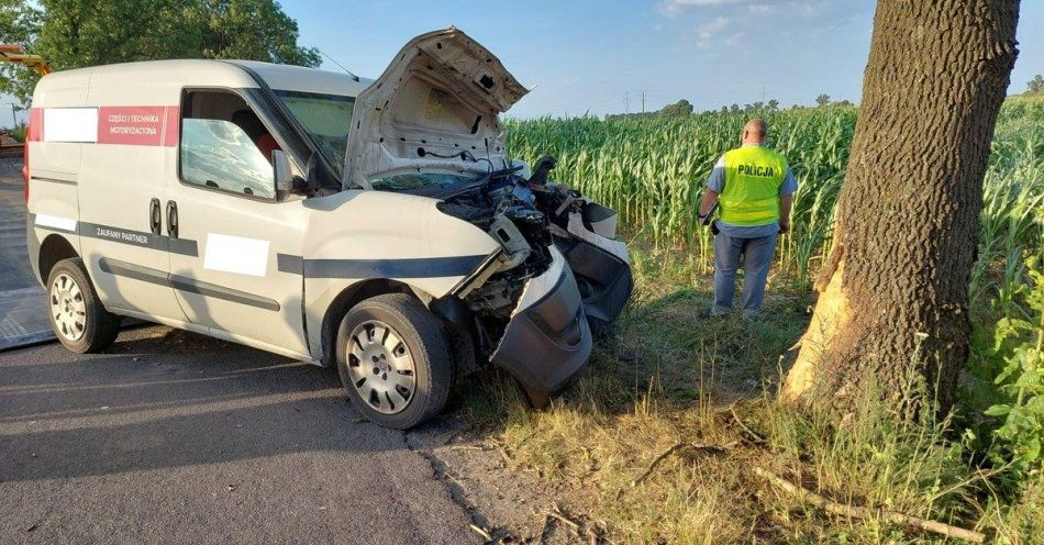 zdjęcie: Śmiertelne uderzenie w drzewo / fot. KPP Mogilno