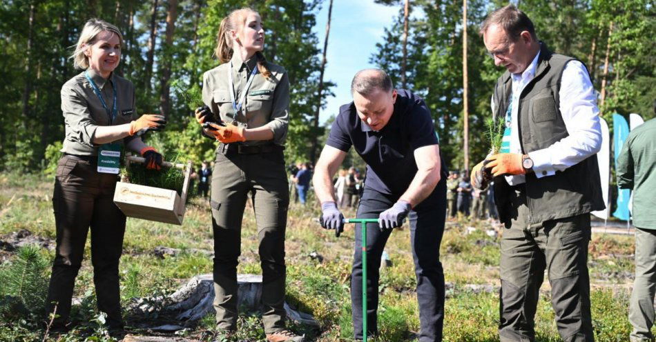 zdjęcie: Wszyscy wiemy, jak potrzebne są lasy; trzeba popularyzować ich sadzenie / fot. PAP