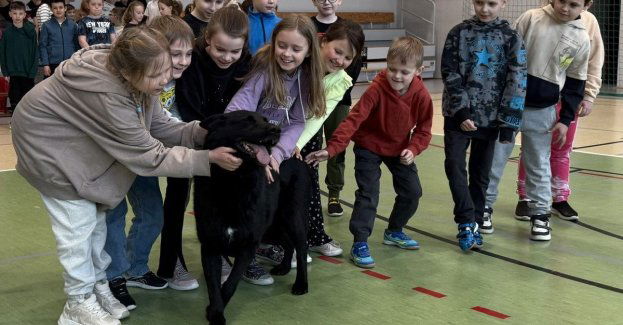 Nabat z policyjnym pokazem w Żukowie dzieci zachwycone