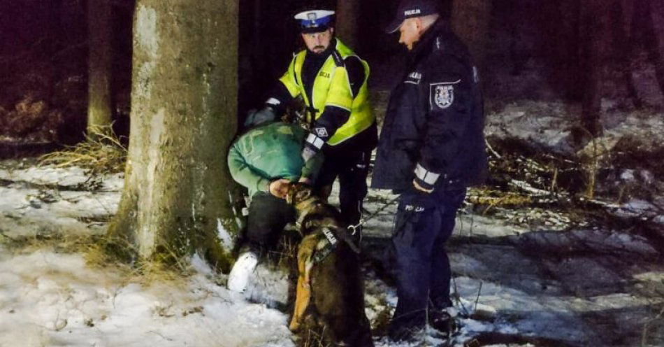 zdjęcie: Uciekał samochodem, omal nie potrącił policjanta – został wytropiony przez policyjnego psa / fot. KPP w Kamiennej Górze