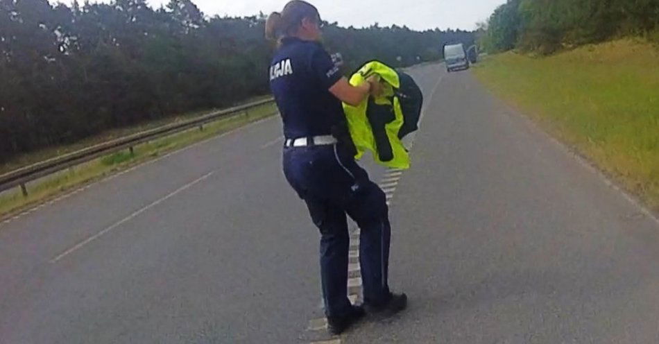 zdjęcie: Niecodzienna interwencja policjantów ruchu drogowego bydgoskiej komendy, którzy uratowali myszołowa / fot. KWP w Bydgoszczy