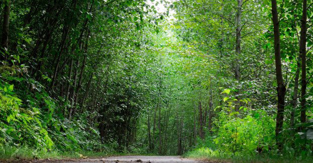 Tereny zielone przy ul. Marczukowskiej będą nosiły nazwę Parku im. Andrzeja Piotra Karolskiego
