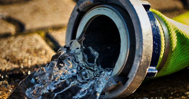 Silny wiatr, interwencje strażaków, powalone drzewa i zalane piwnice