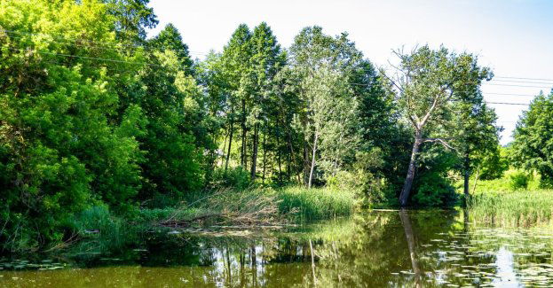 Koniec sporu o Zakrzówek, zwiększy on powierzchnię jako użytek ekologiczny