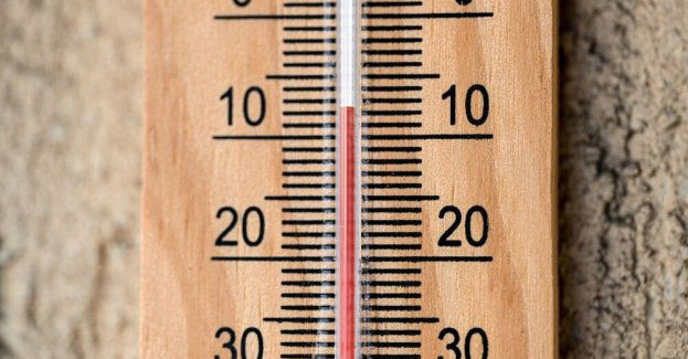 W niedzielę i poniedziałek temperatura do 15 st. C; noc z przymrozkami