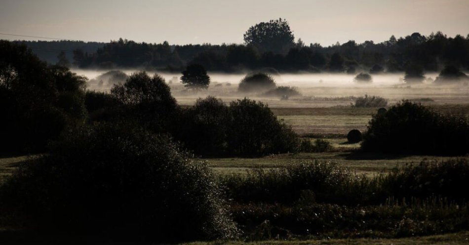 zdjęcie: Synoptyk IMGW: w czwartek i piątek gęste mgły, poza tym pogodnie / Narew, woj. podlaskie, 24.09.2024. Poranne mgły nad rzeką Narew. PAP/Michał Zieliński