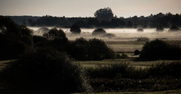 Synoptyk IMGW: w czwartek i piątek gęste mgły, poza tym pogodnie