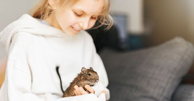 Dwoje dzieci zatruło się prawdopodobnie oparami środka do deratyzacji - trafiły do szpitala