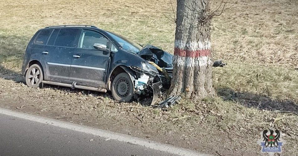 zdjęcie: 68-latek uderzył prowadzonym przez siebie samochodem w drzewo / fot. KMP w Wałbrzychu