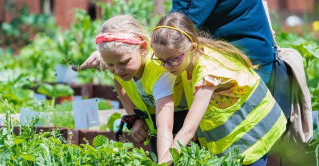 Warsztaty wiosenne Mój eko-warzywnik