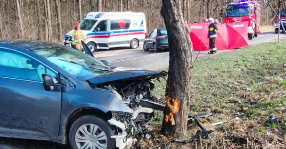 zdjęcie: Wypadek śmiertelny w Adampolu / fot. KPP Włodawa