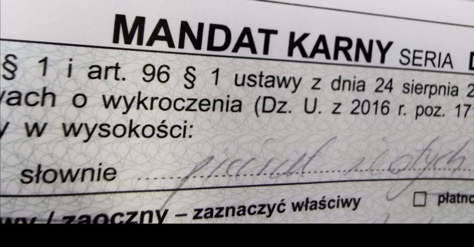 zdjęcie: Zapłaci 500 zł za kradzież alkoholu za 64,99 zł / fot. KPP w Wyszkowie ""