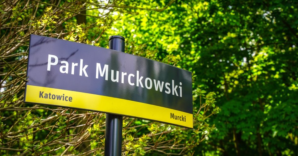 zdjęcie: Katowice skonsultują z mieszkańcami zmiany w parku Murckowskim / fot. nadesłane