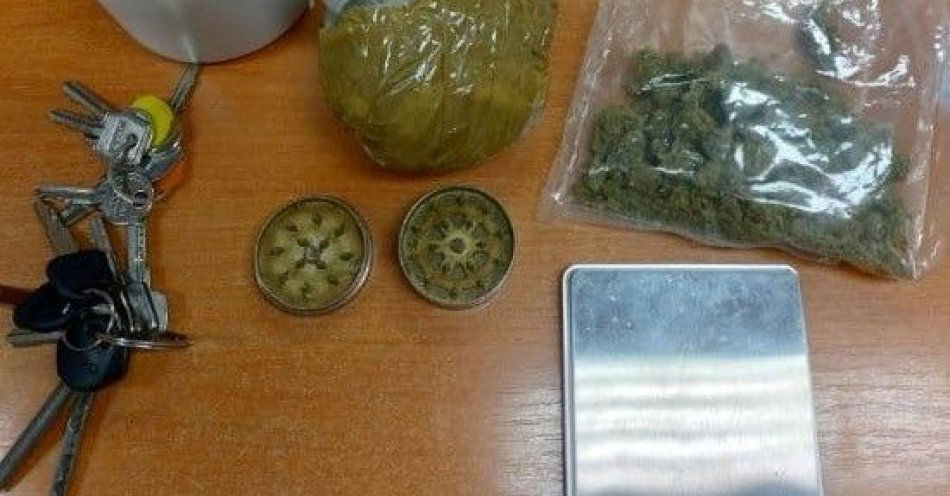 zdjęcie: W garażu w Radomiu znaleziono blisko 200 g marihuany / fot. KMP w Radomiu