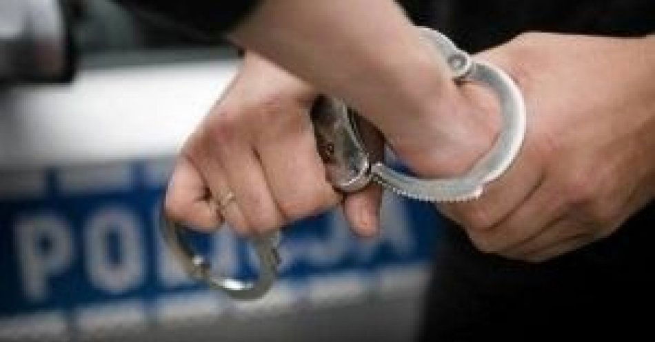 zdjęcie: Kolejni sprawcy kradzieży z włamaniem zatrzymani przez gostynińskich policjantów / fot. KPP w Gostyninie
