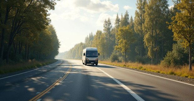 Jak bezpiecznie zachować się w lesie podczas grzybobrania