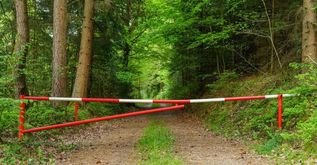 Straż leśna nałożyła ponad 20 mandatów na kierowców rozjeżdżających lasy