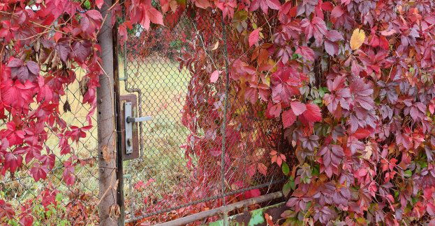 Zabezpiecz swoją działkę na sezon jesienno-zimowy