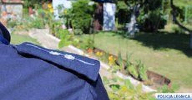 Działkowiczu pamiętaj ! zabezpiecz swój sprzęt ogrodowy