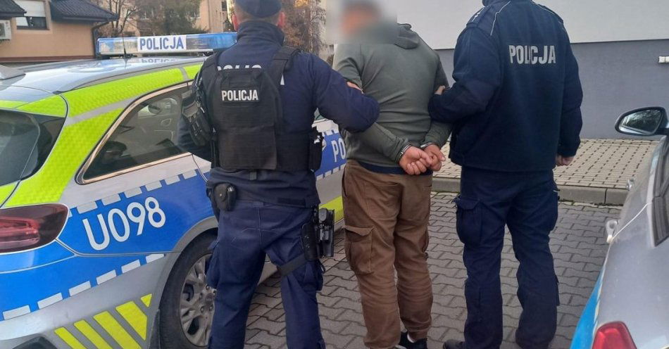 zdjęcie: Swarzędz: 8 miesięcy więzienia za jazdę mimo zakazu / fot. KMP w Poznaniu