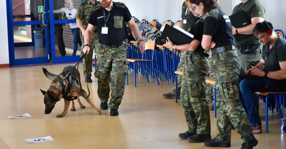 zdjęcie: Psy służące w formacjach mundurowych Polski, Litwy, Łotwy i Czech rywalizują m.in. w wykrywaniu narkotyków i materiałów wybuchowych / fot. PAP