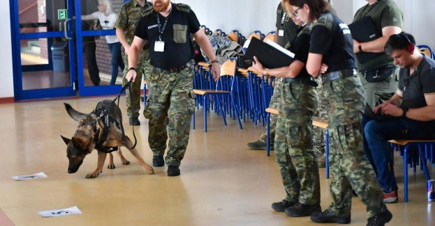 Psy służące w formacjach mundurowych Polski, Litwy, Łotwy i Czech rywalizują m.in. w wykrywaniu narkotyków i materiałów wybuchowych