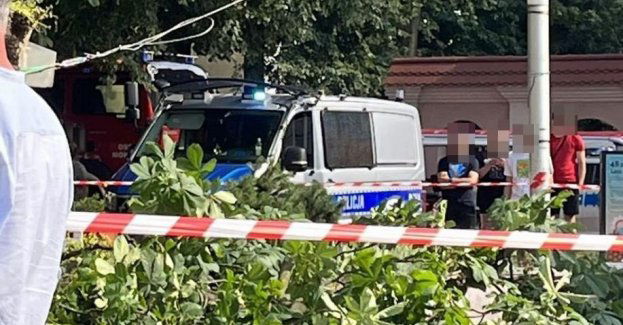 Konar spadł na teren letniej czytelni