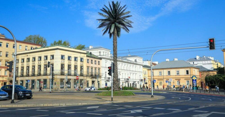 zdjęcie: Chcę, żeby palma była szczęśliwa / fot. PAP