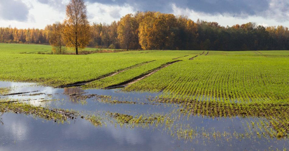 zdjęcie: Ponad pięćset wniosków o pomoc za zniszczone uprawy / v15270725