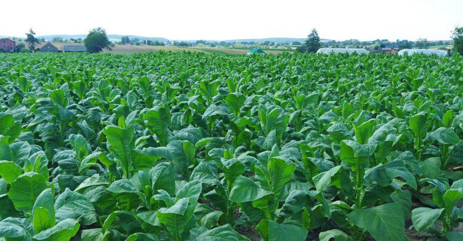 zdjęcie: Rząd uderza w rolników. Nowe regulacje mogą też odstraszyć inwestorów / fot. nadesłane / Biznes Alert