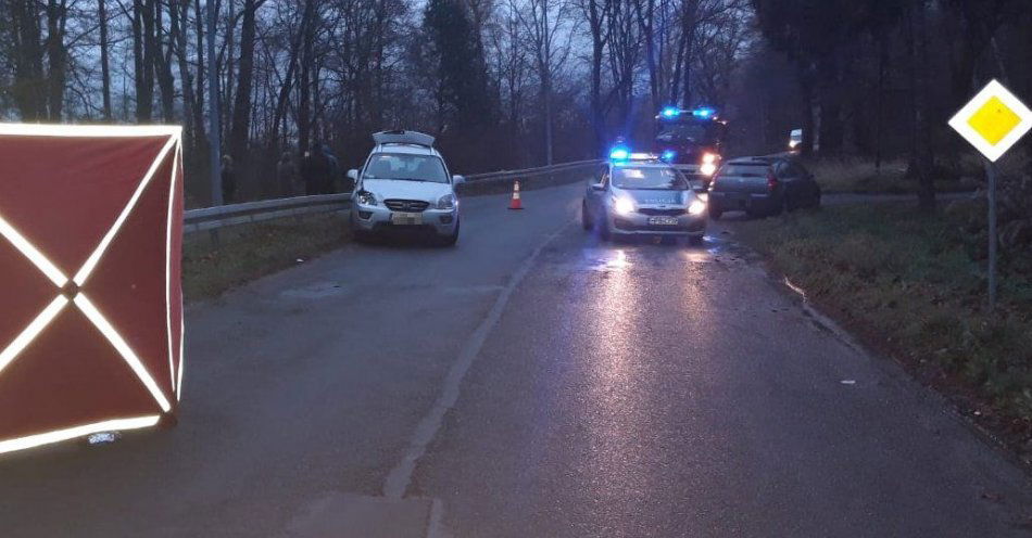 zdjęcie: Wypadek ze skutkiem śmiertelnym / fot. KPP w Zgorzelcu