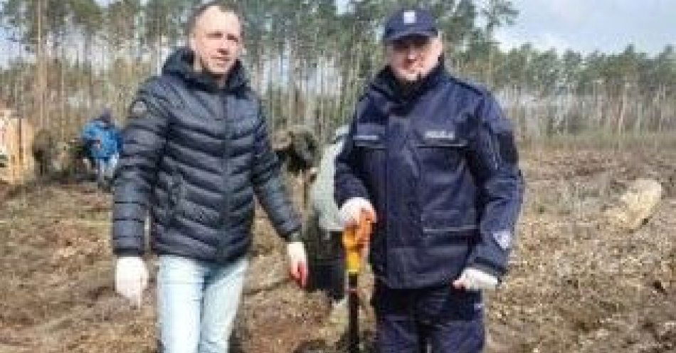 zdjęcie: „Łączą nas drzewa” / fot. KPP Mogilno