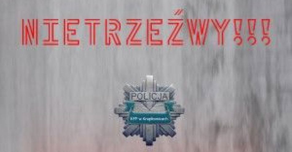 zdjęcie: Kierował samochodem mając ponad 3 promile / fot. KPP Krapkowice