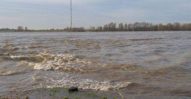 Sejmowe komisje apelują o większe środki na ochronę przeciwpowodziową Żuław