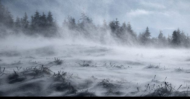 Zamieciami śnieżnymi i silnym wiatrem